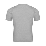 Flecking Gray